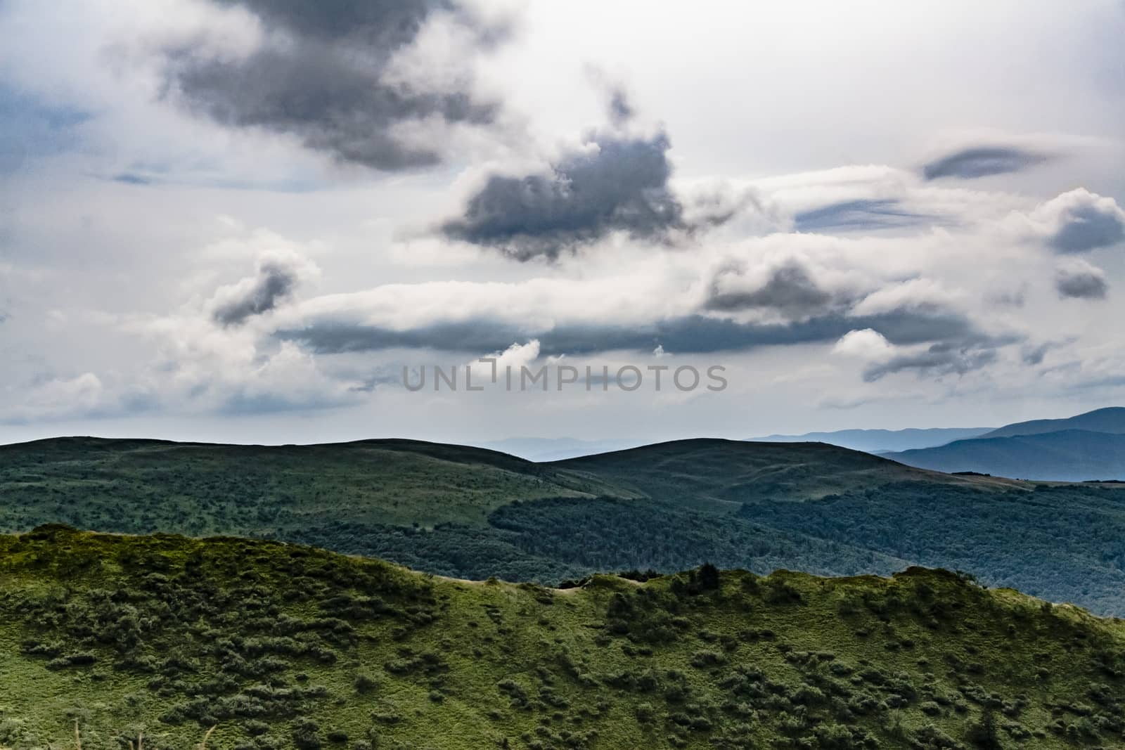 Road from Widelki to Tarnica through Bukowe Berdo in the Bieszczady Mountains in Poland