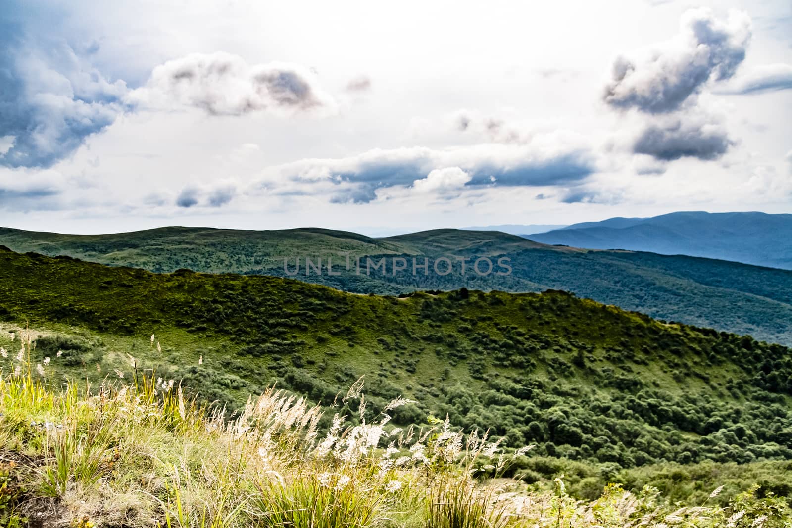 Road from Widelki to Tarnica through Bukowe Berdo in the Bieszczady Mountains in Poland by jacek65