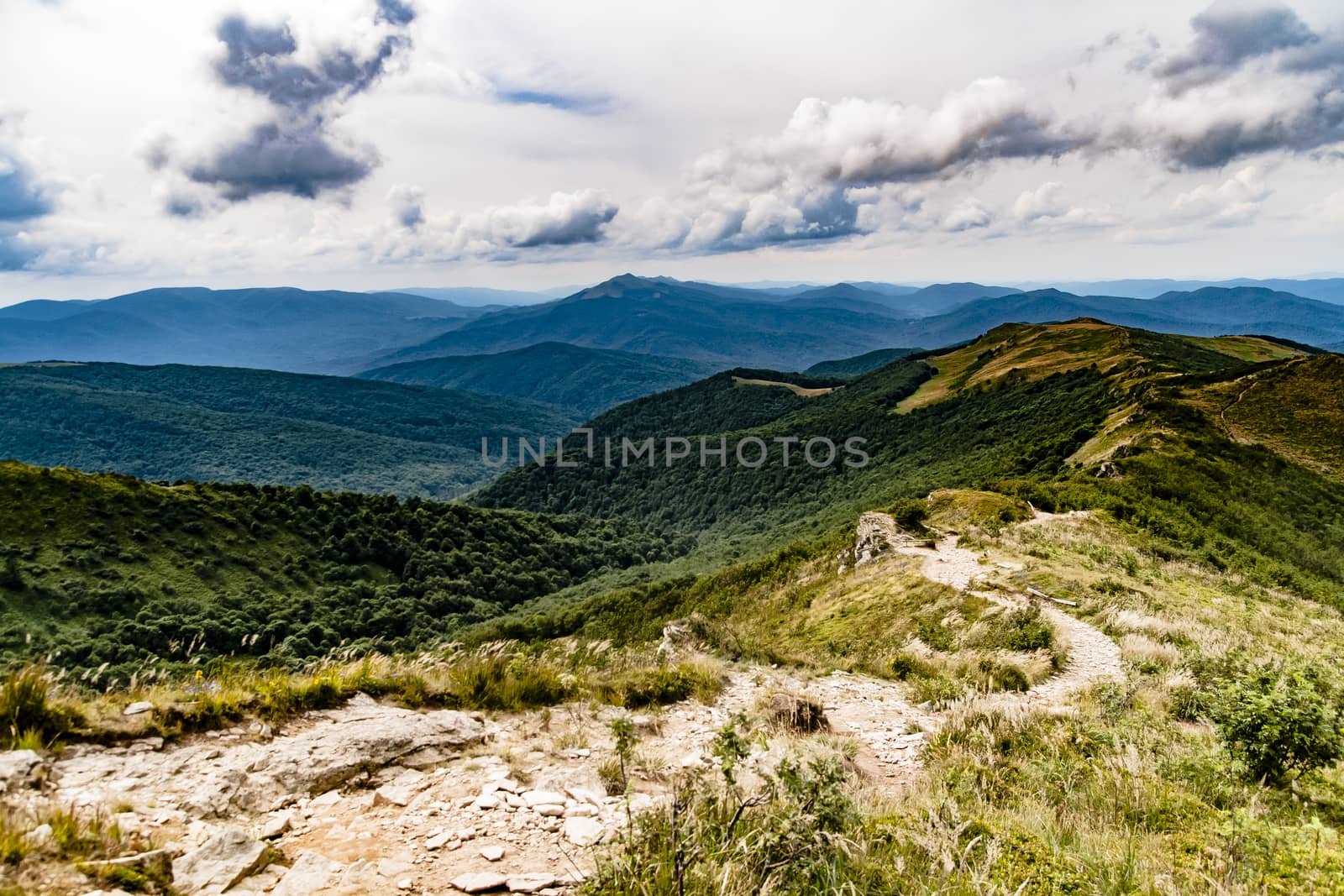 Road from Widelki to Tarnica through Bukowe Berdo in the Bieszczady Mountains in Poland