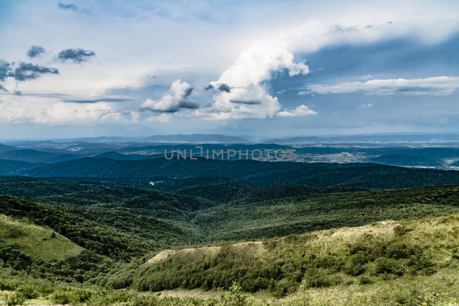 Road from Widelki to Tarnica through Bukowe Berdo in the Bieszczady Mountains in Poland