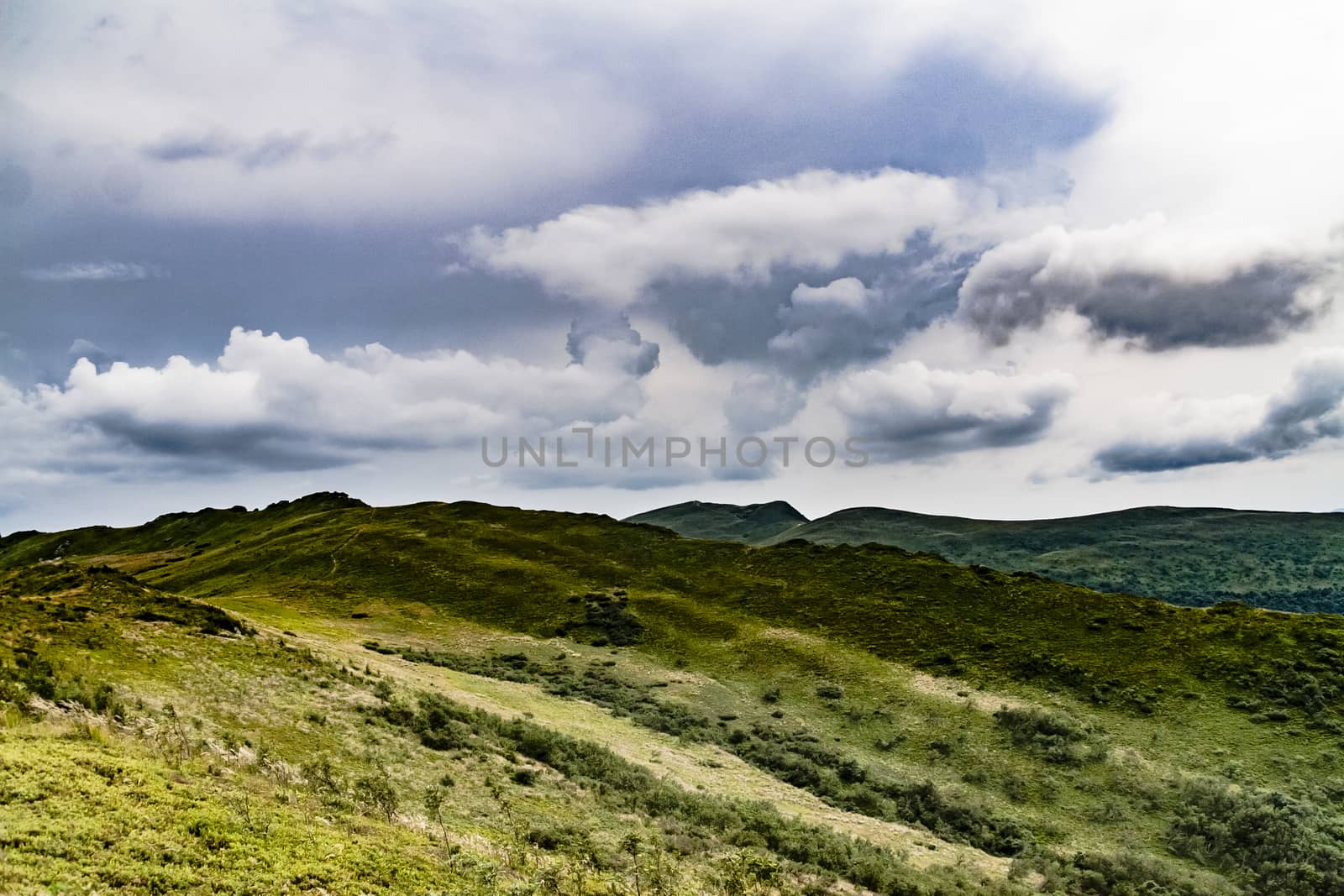 Road from Widelki to Tarnica through Bukowe Berdo in the Bieszczady Mountains in Poland