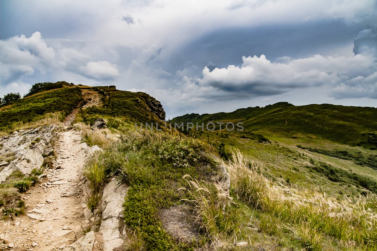 Road from Widelki to Tarnica through Bukowe Berdo in the Bieszczady Mountains in Poland