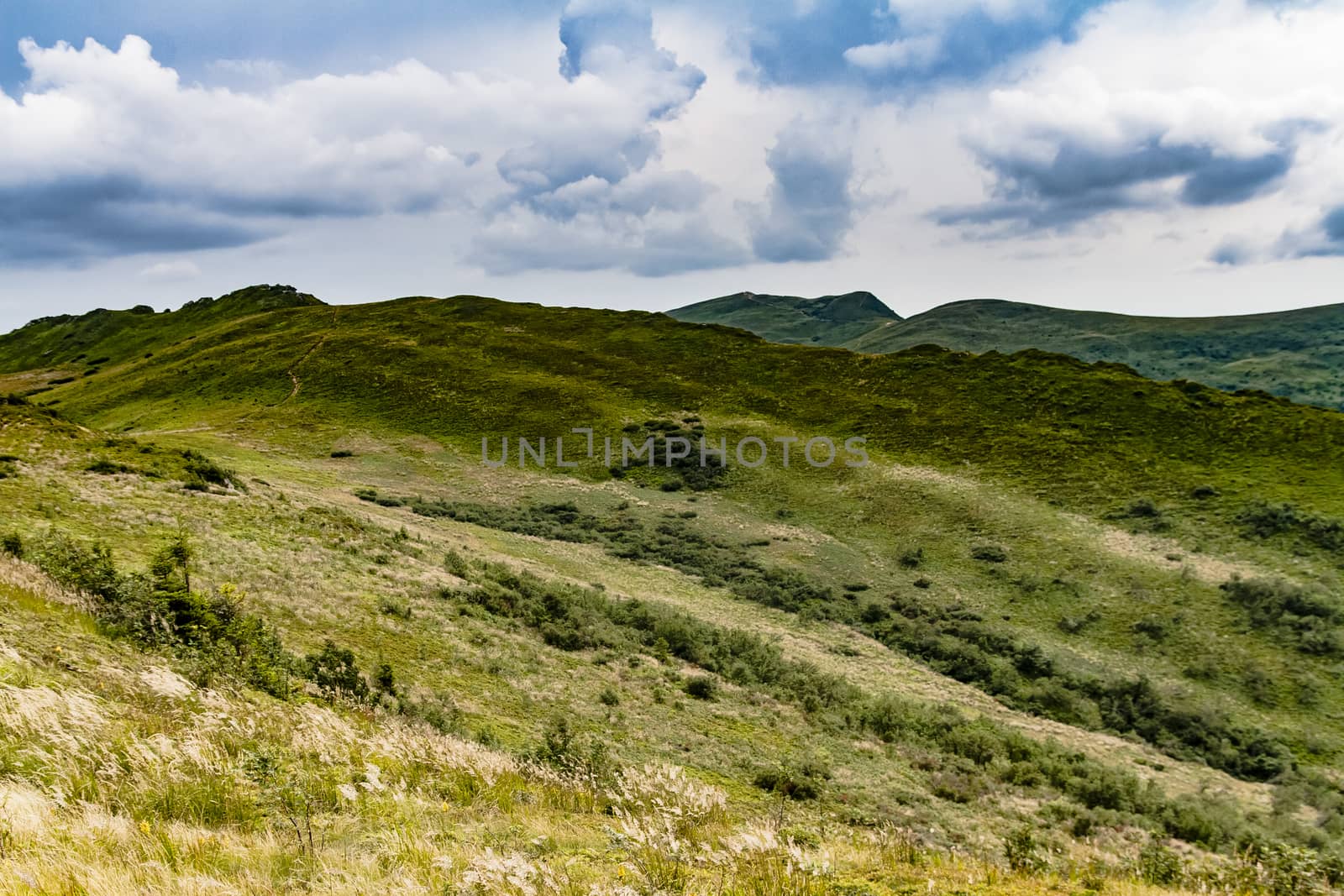 Road from Widelki to Tarnica through Bukowe Berdo in the Bieszczady Mountains in Poland