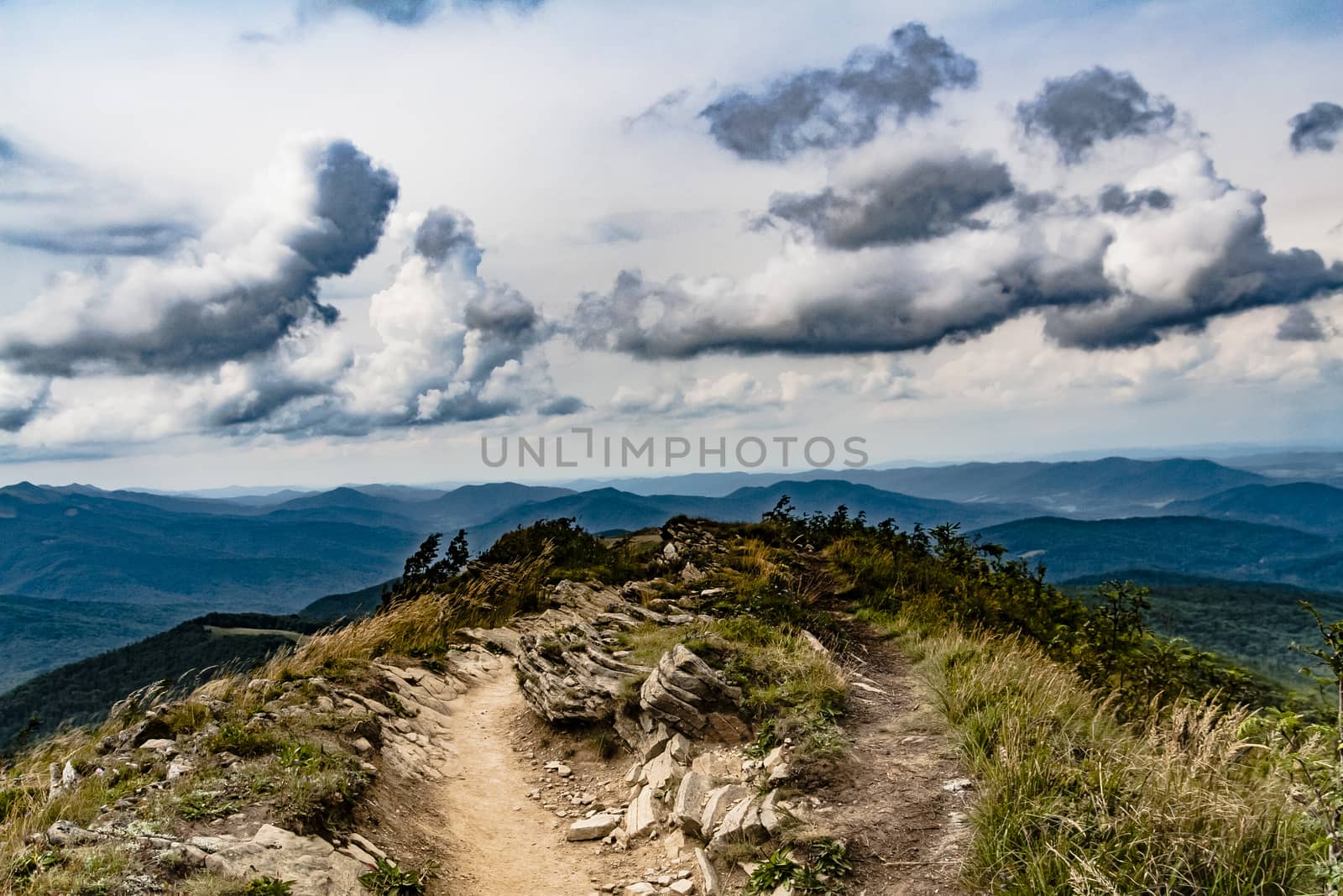 Road from Widelki to Tarnica through Bukowe Berdo in the Bieszczady Mountains in Poland by jacek65