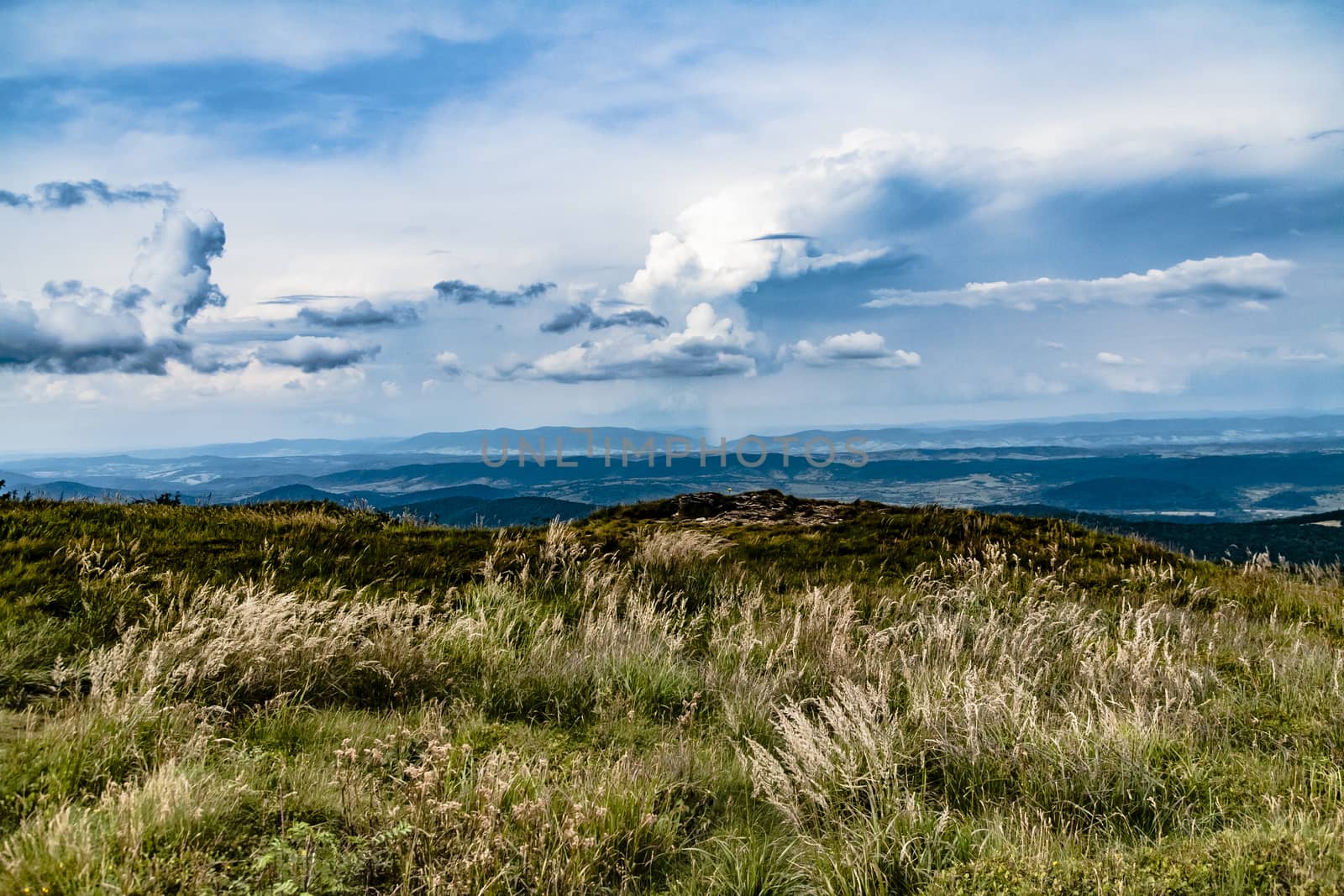 Road from Widelki to Tarnica through Bukowe Berdo in the Bieszczady Mountains in Poland by jacek65