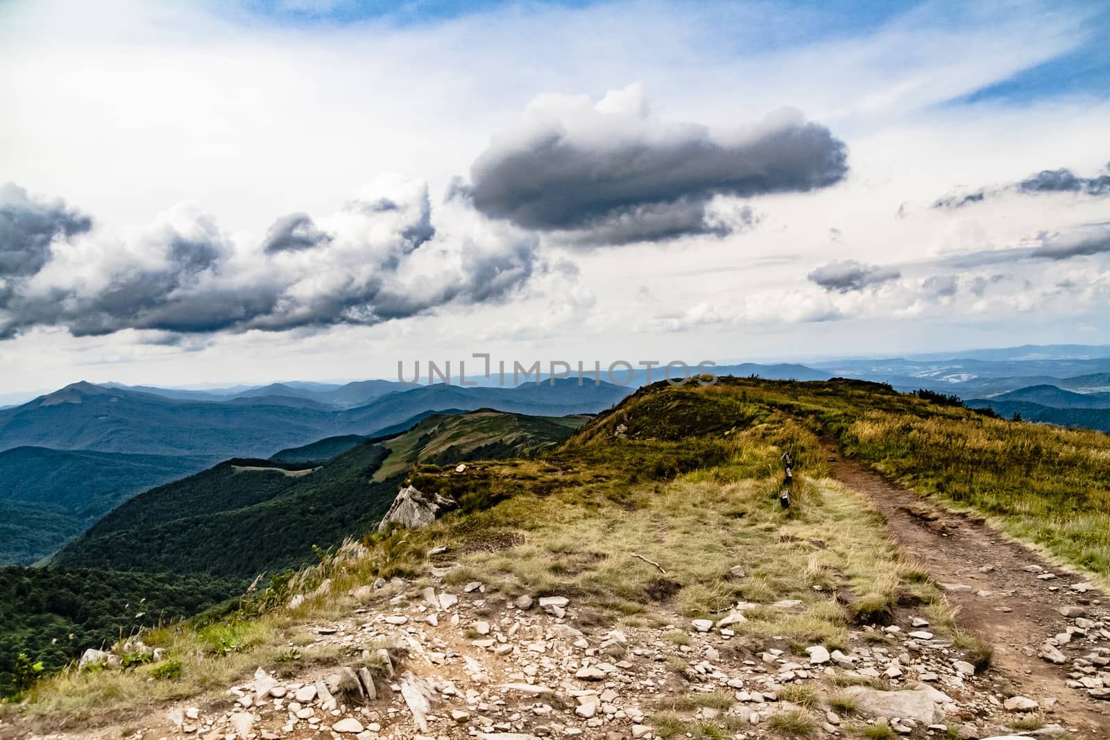 Road from Widelki to Tarnica through Bukowe Berdo in the Bieszczady Mountains in Poland by jacek65