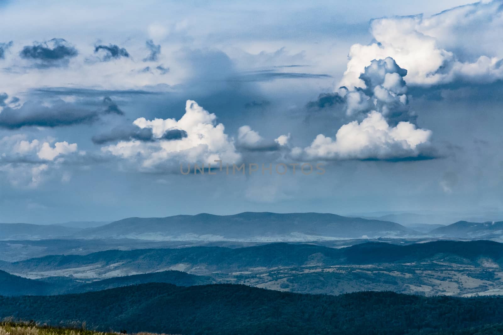 Road from Widelki to Tarnica through Bukowe Berdo in the Bieszczady Mountains in Poland