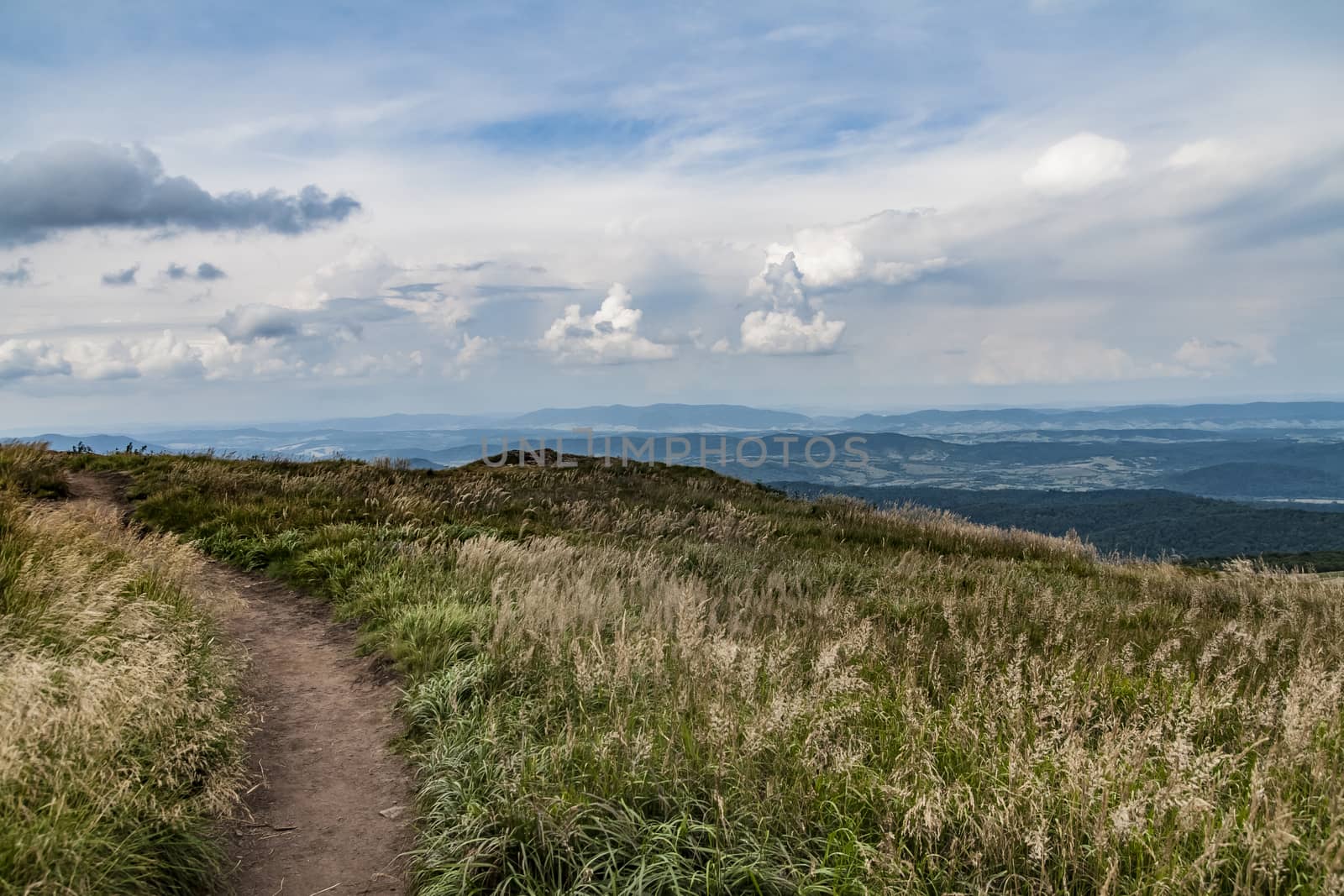 Road from Widelki to Tarnica through Bukowe Berdo in the Bieszczady Mountains in Poland by jacek65