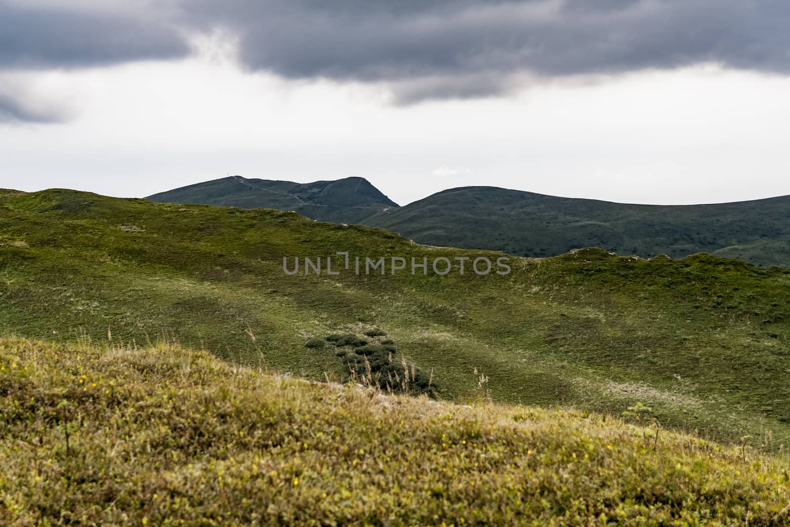 Road from Widelki to Tarnica through Bukowe Berdo in the Bieszczady Mountains in Poland by jacek65