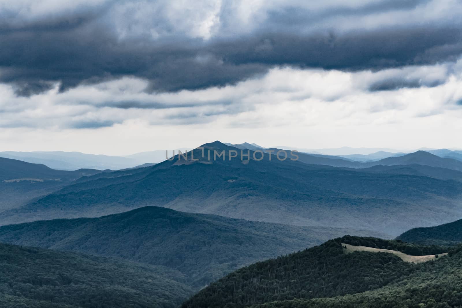 Road from Widelki to Tarnica through Bukowe Berdo in the Bieszczady Mountains in Poland