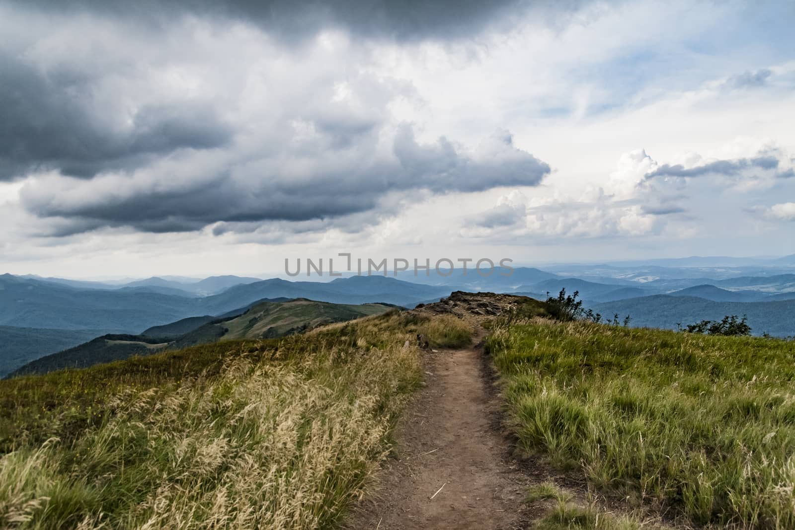 Road from Widelki to Tarnica through Bukowe Berdo in the Bieszczady Mountains in Poland