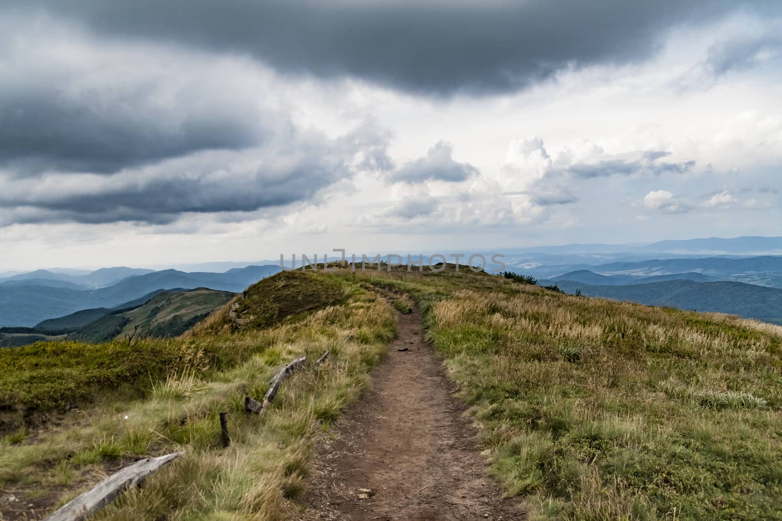 Road from Widelki to Tarnica through Bukowe Berdo in the Bieszczady Mountains in Poland by jacek65