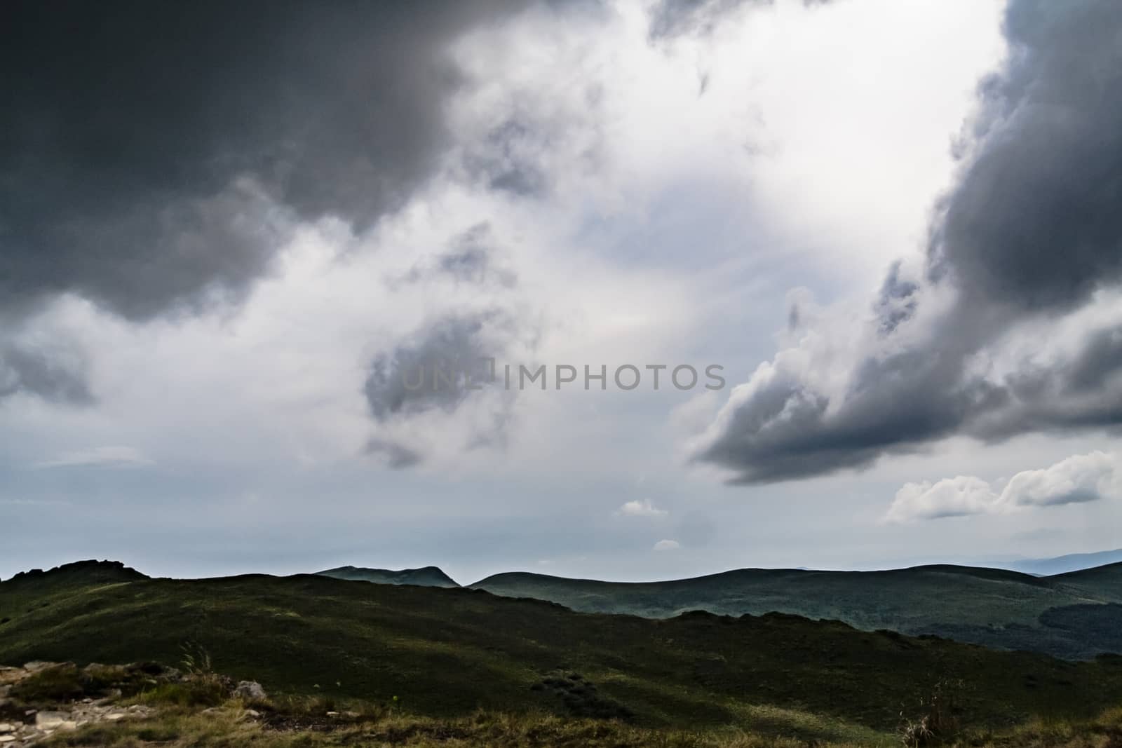 Road from Widelki to Tarnica through Bukowe Berdo in the Bieszczady Mountains in Poland