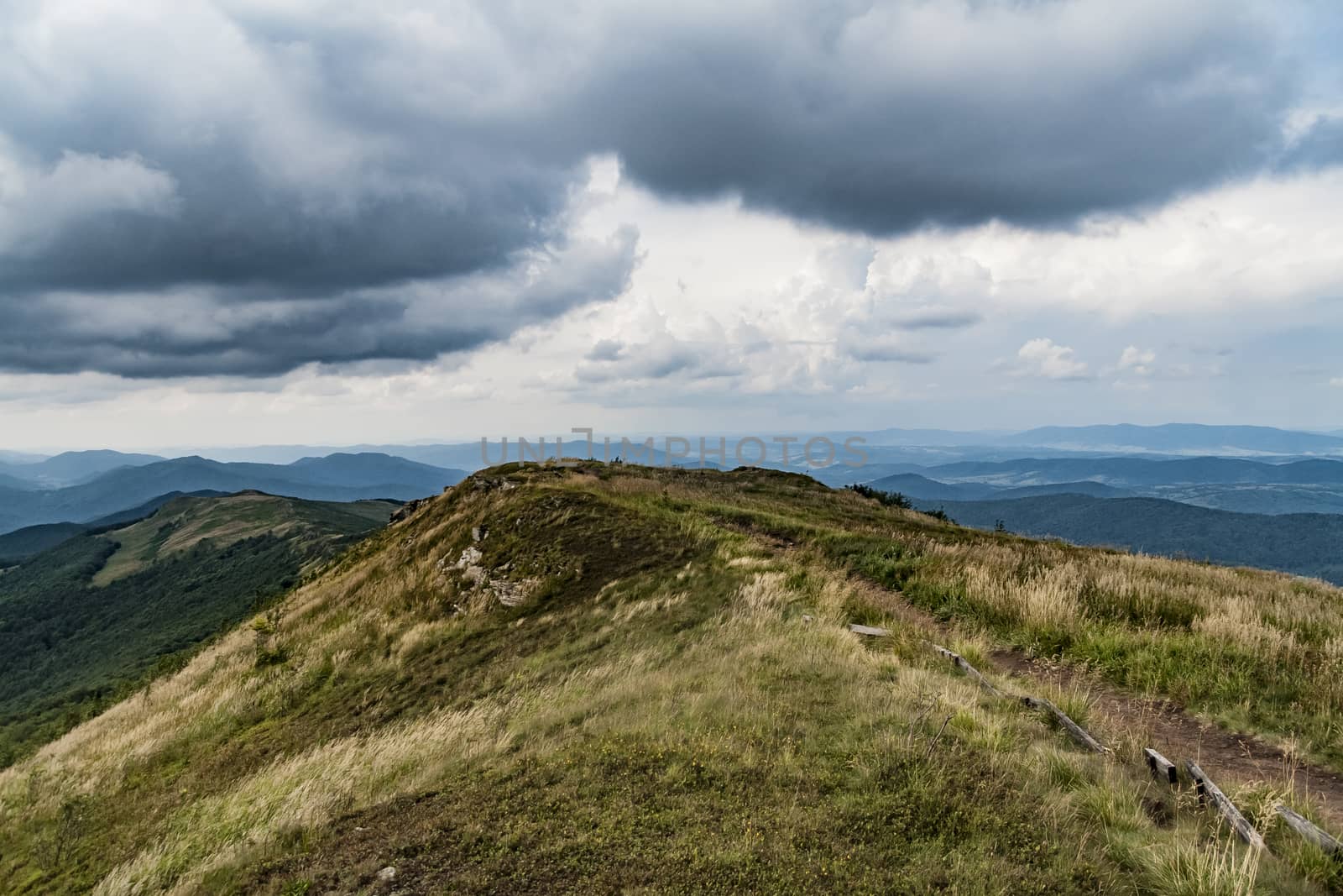 Road from Widelki to Tarnica through Bukowe Berdo in the Bieszczady Mountains in Poland by jacek65