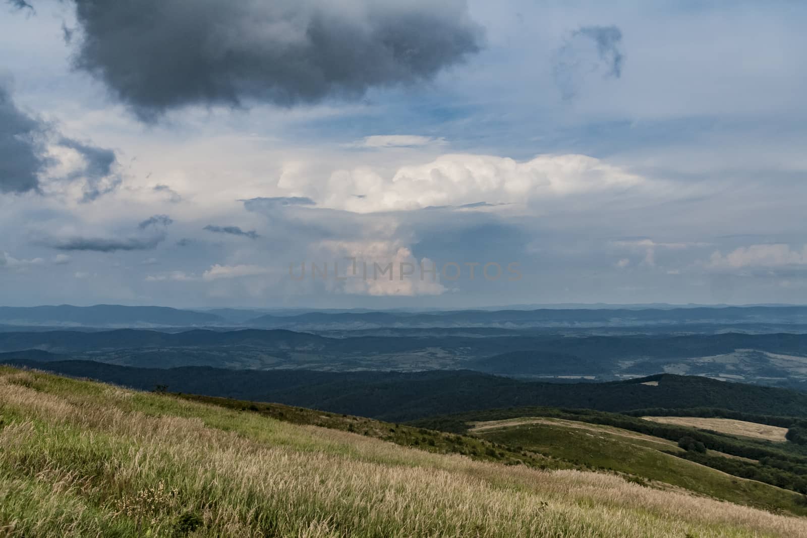 Road from Widelki to Tarnica through Bukowe Berdo in the Bieszczady Mountains in Poland