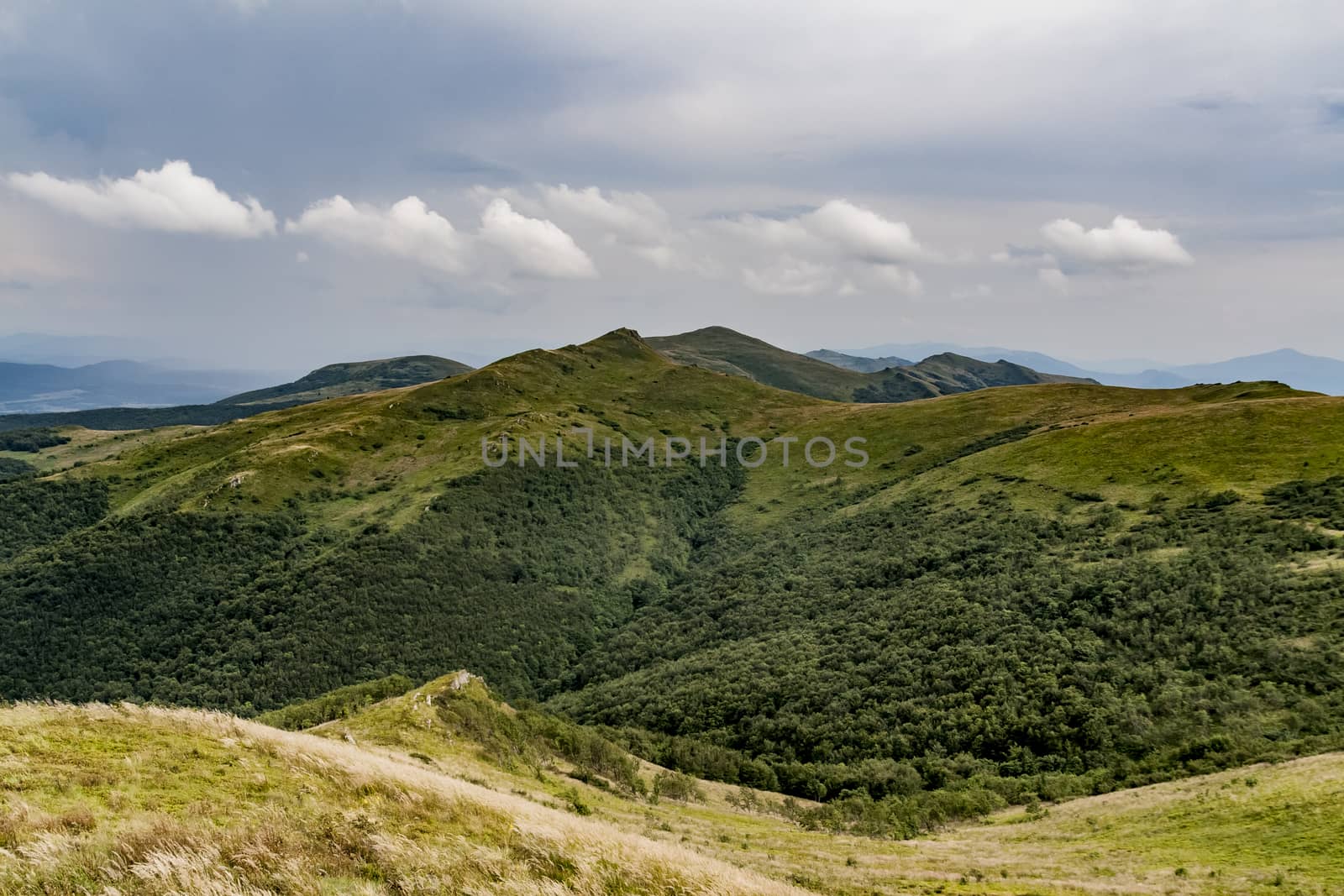 Road from Widelki to Tarnica through Bukowe Berdo in the Bieszczady Mountains in Poland