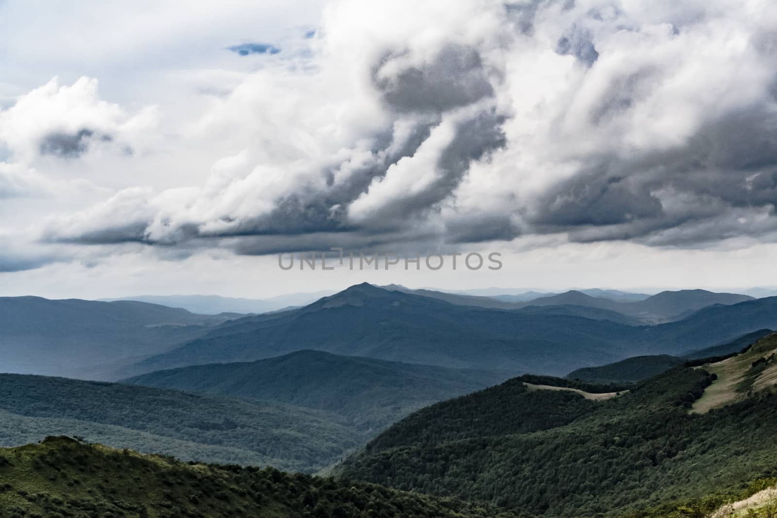 Road from Widelki to Tarnica through Bukowe Berdo in the Bieszczady Mountains in Poland by jacek65