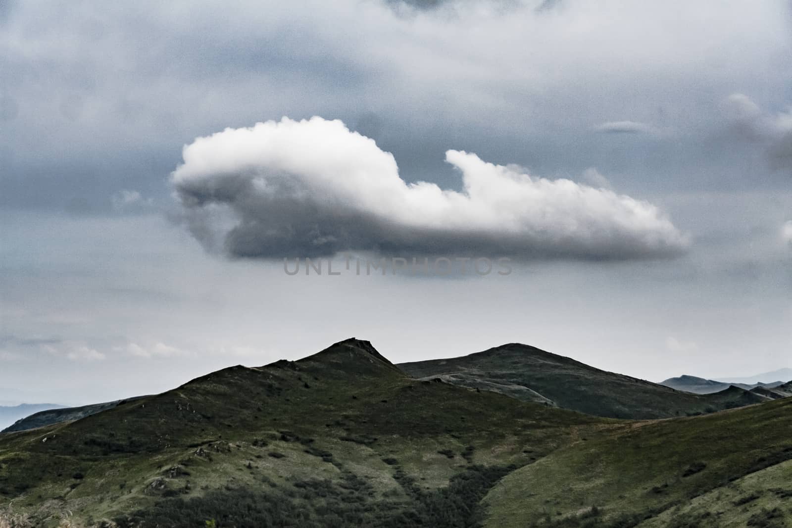 Road from Widelki to Tarnica through Bukowe Berdo in the Bieszczady Mountains in Poland by jacek65