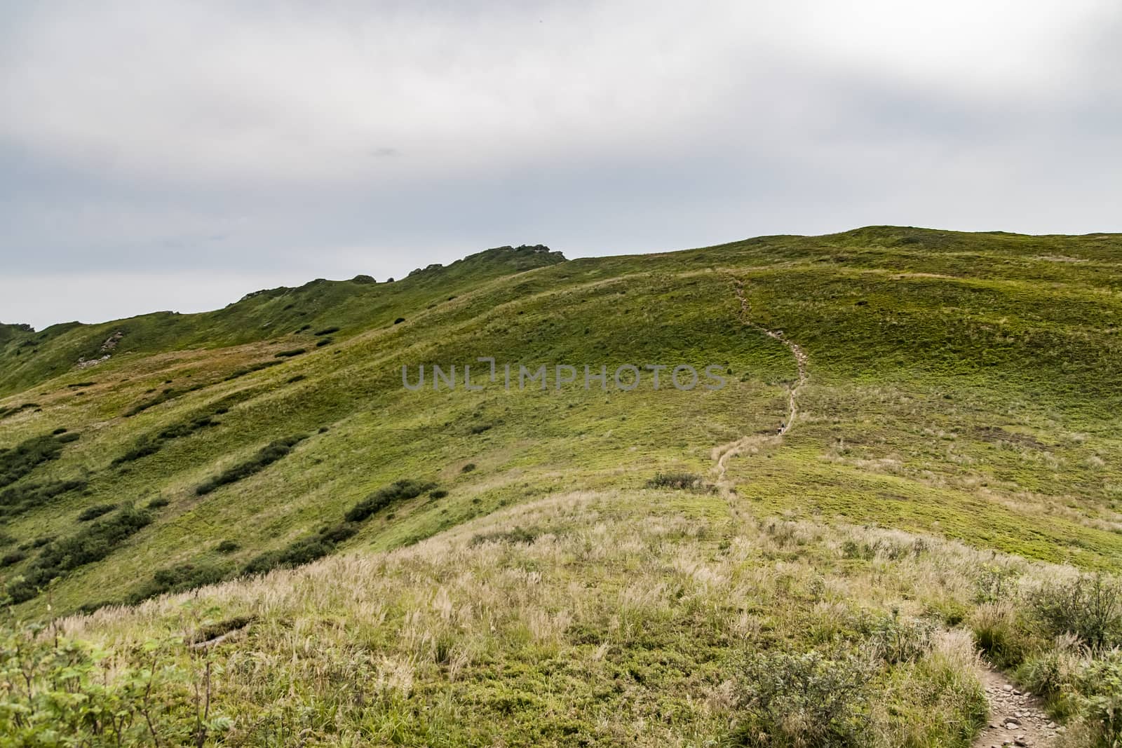 Road from Widelki to Tarnica through Bukowe Berdo in the Bieszczady Mountains in Poland by jacek65