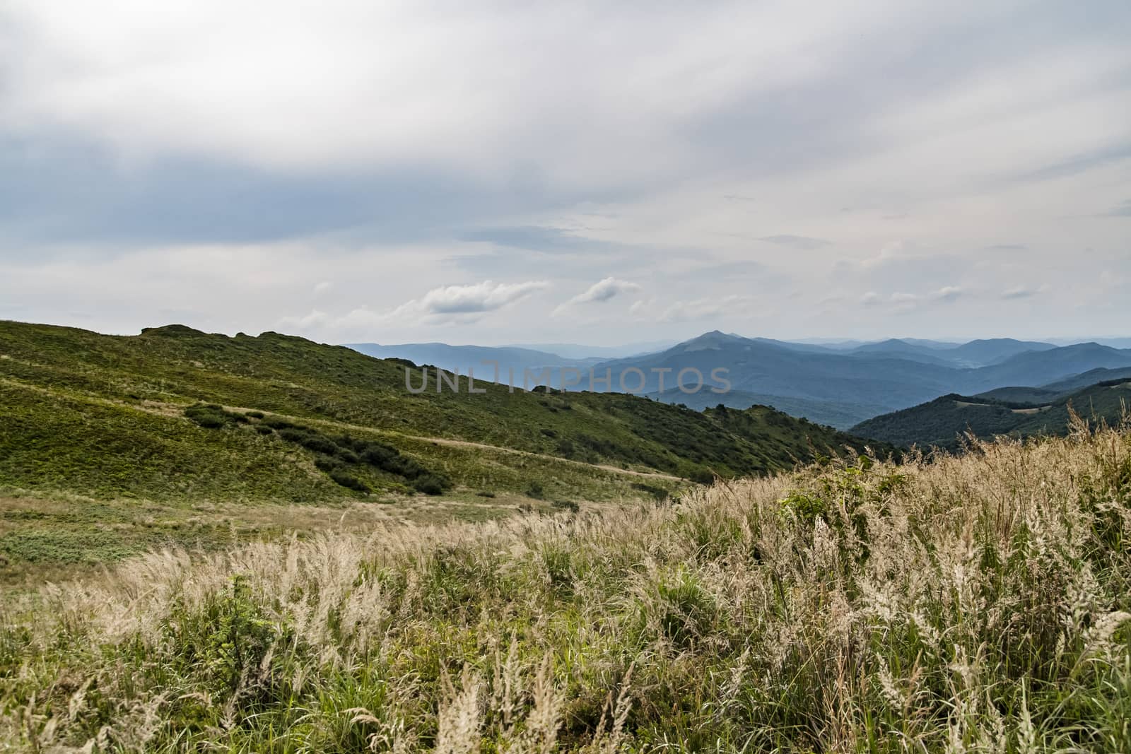 Road from Widelki to Tarnica through Bukowe Berdo in the Bieszczady Mountains in Poland by jacek65