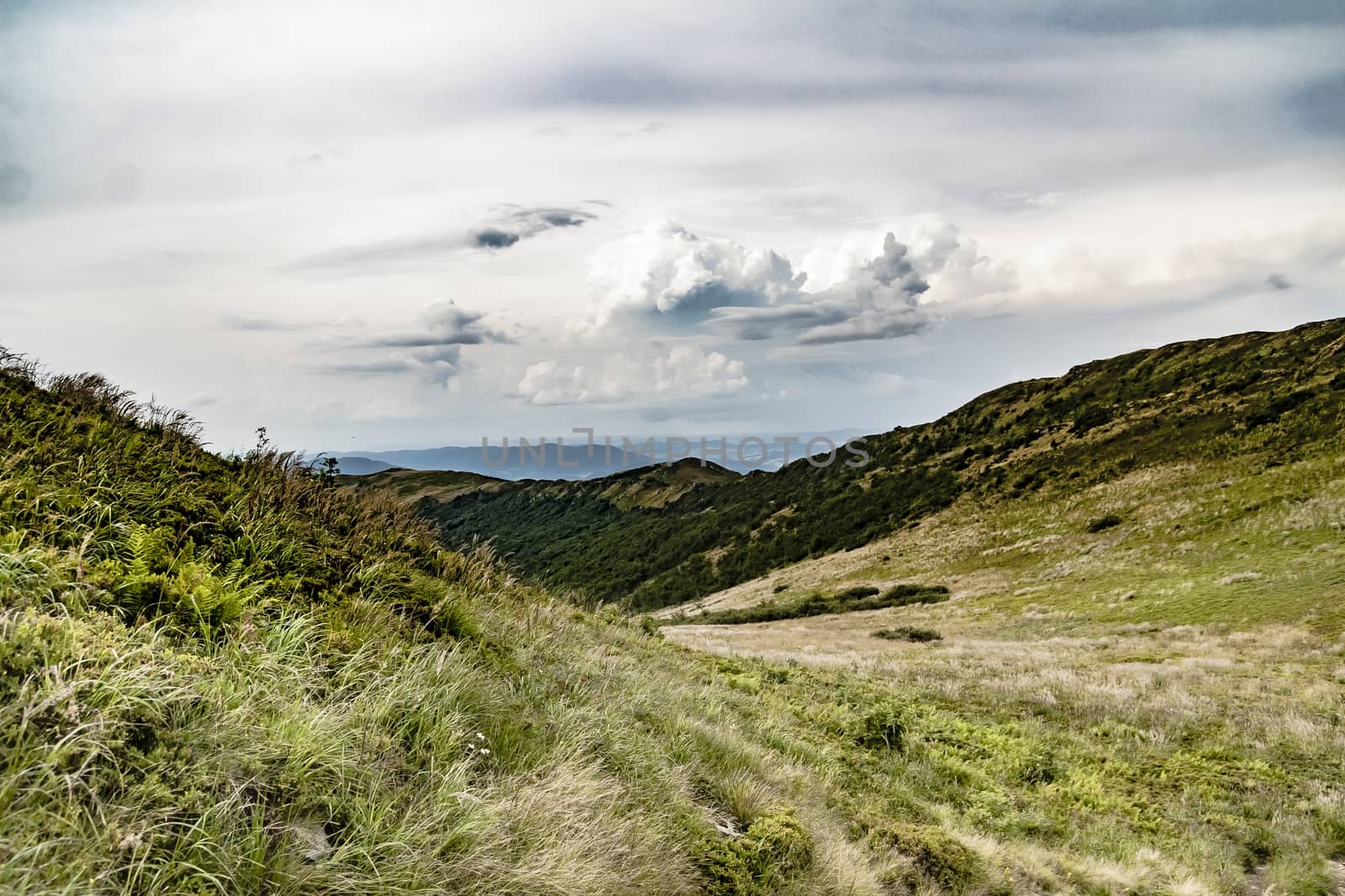 Road from Widelki to Tarnica through Bukowe Berdo in the Bieszczady Mountains in Poland by jacek65