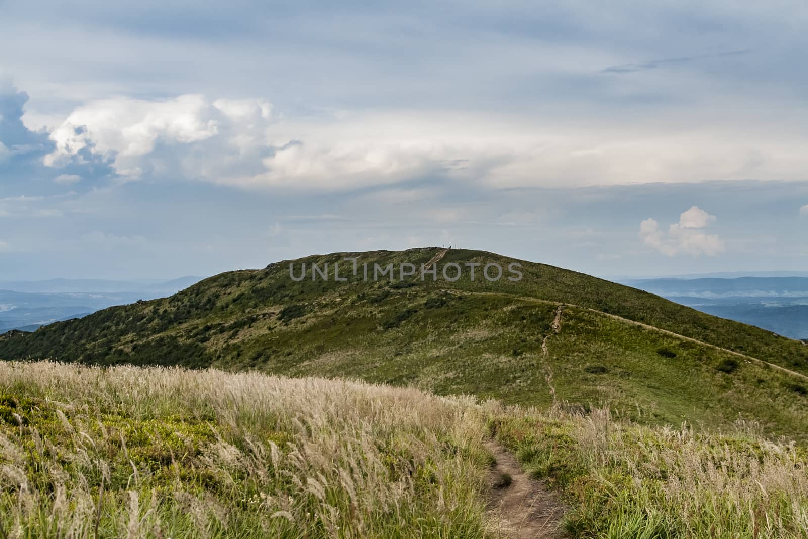 Road from Widelki to Tarnica through Bukowe Berdo in the Bieszczady Mountains in Poland by jacek65