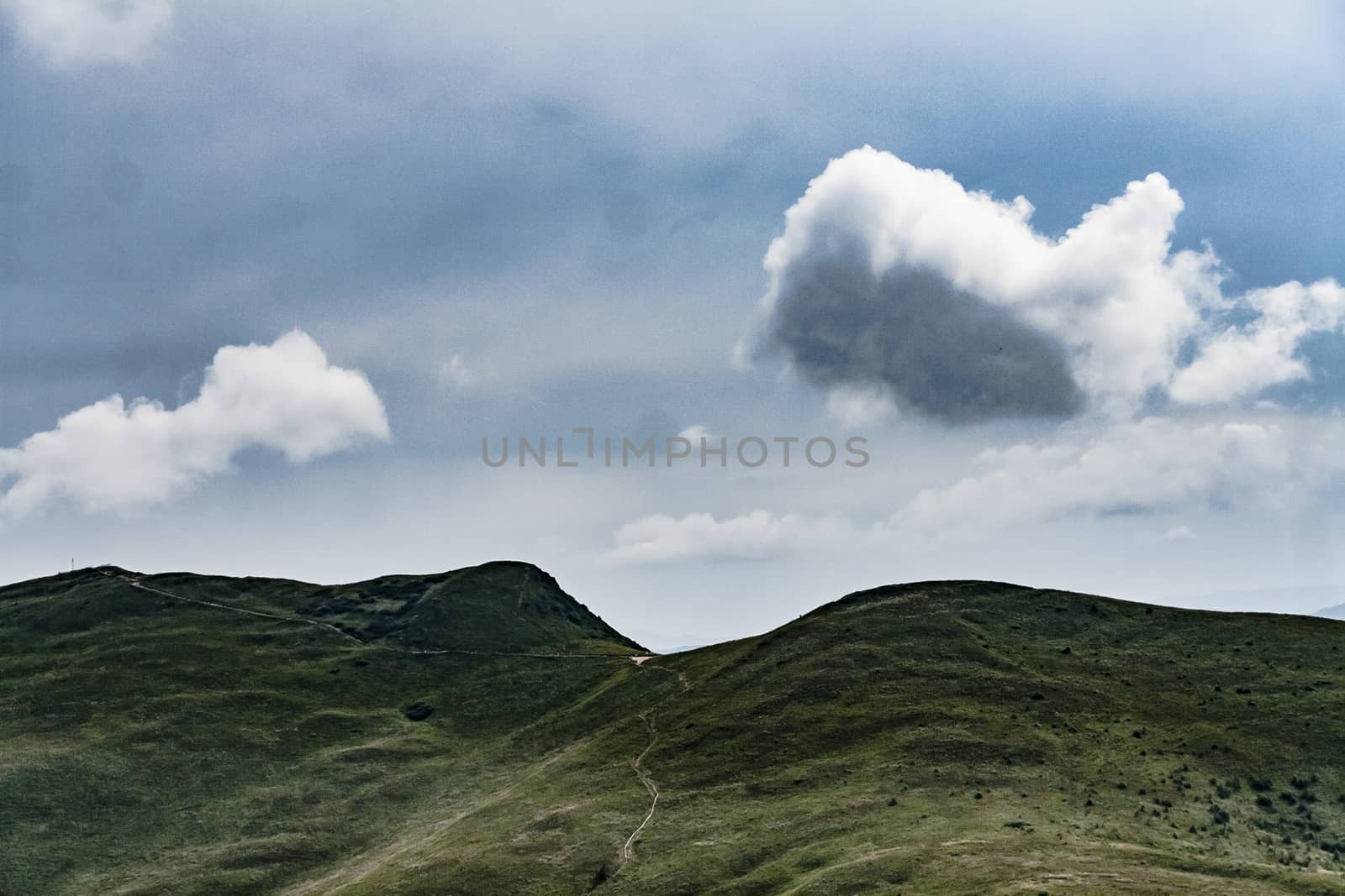 Road from Widelki to Tarnica through Bukowe Berdo in the Bieszczady Mountains in Poland by jacek65