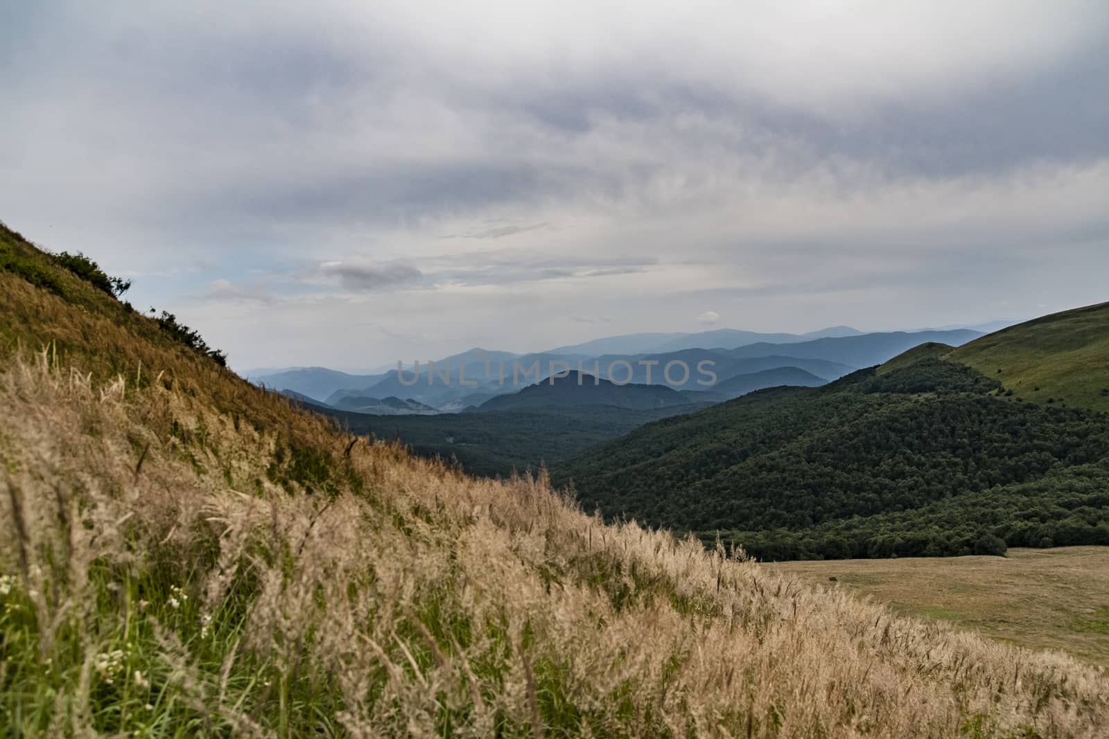 Road from Widelki to Tarnica through Bukowe Berdo in the Bieszczady Mountains in Poland by jacek65