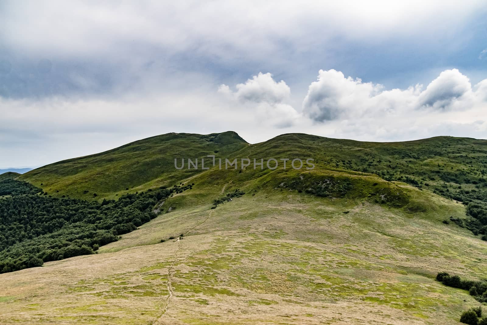 Road from Widelki to Tarnica through Bukowe Berdo in the Bieszczady Mountains in Poland by jacek65