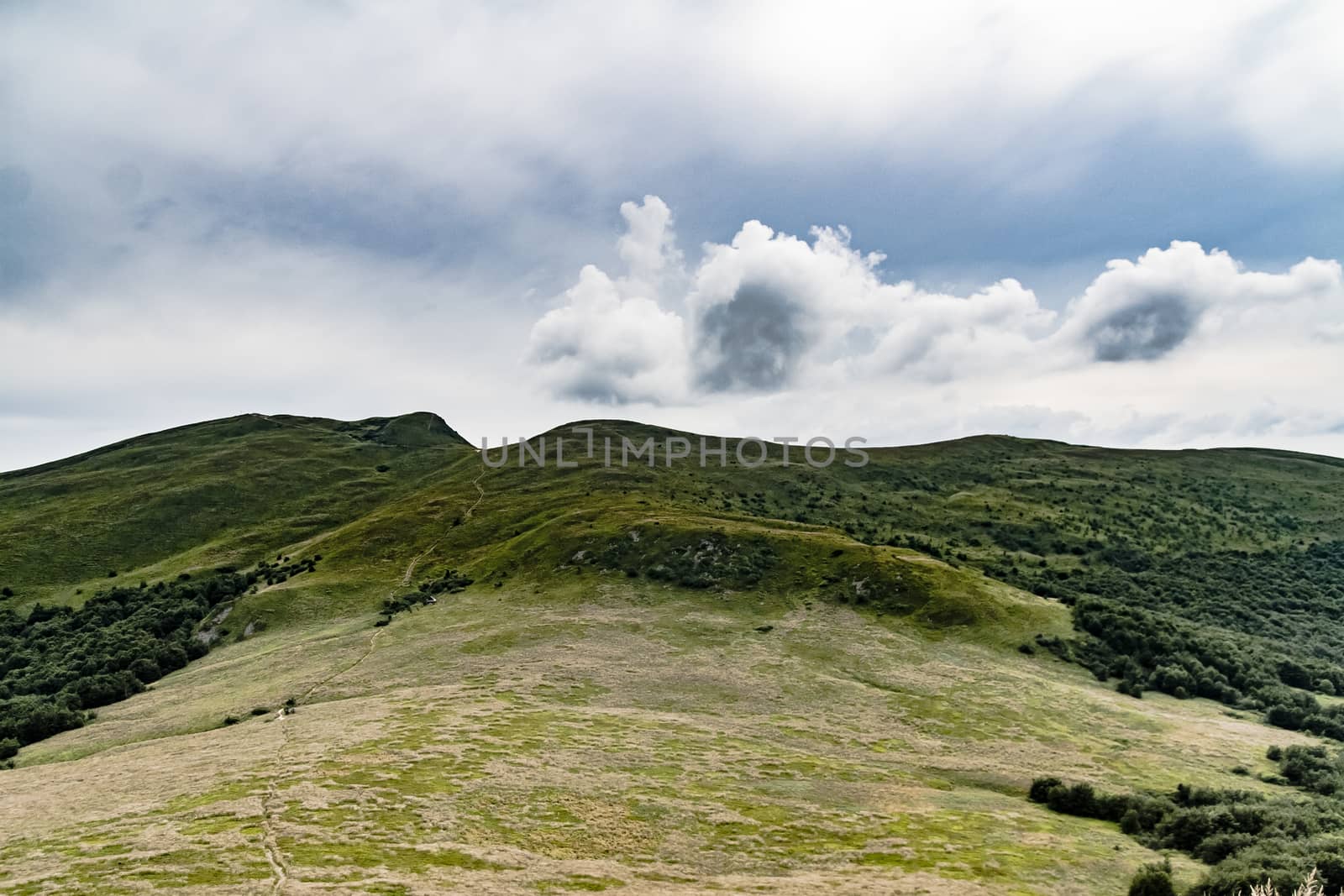 Road from Widelki to Tarnica through Bukowe Berdo in the Bieszczady Mountains in Poland by jacek65