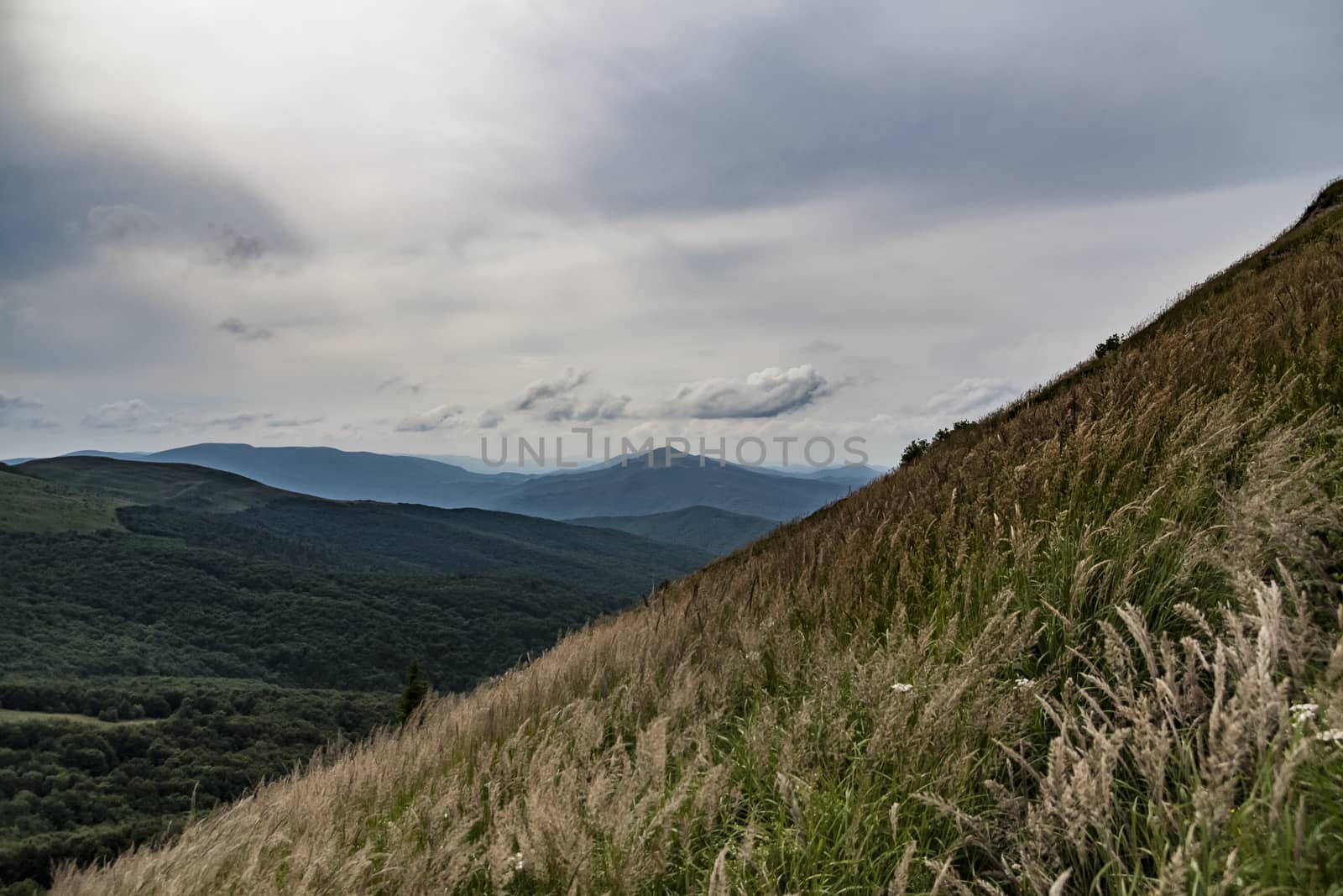 Road from Widelki to Tarnica through Bukowe Berdo in the Bieszczady Mountains in Poland