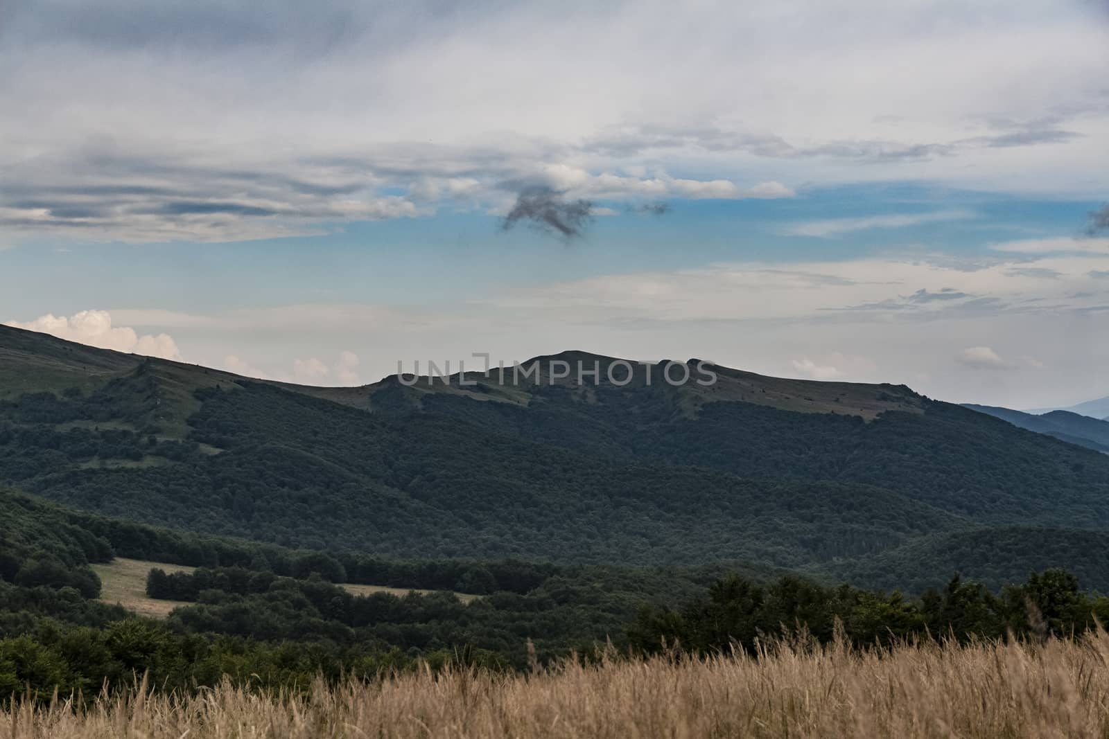 Road from Widelki to Tarnica through Bukowe Berdo in the Bieszczady Mountains in Poland by jacek65