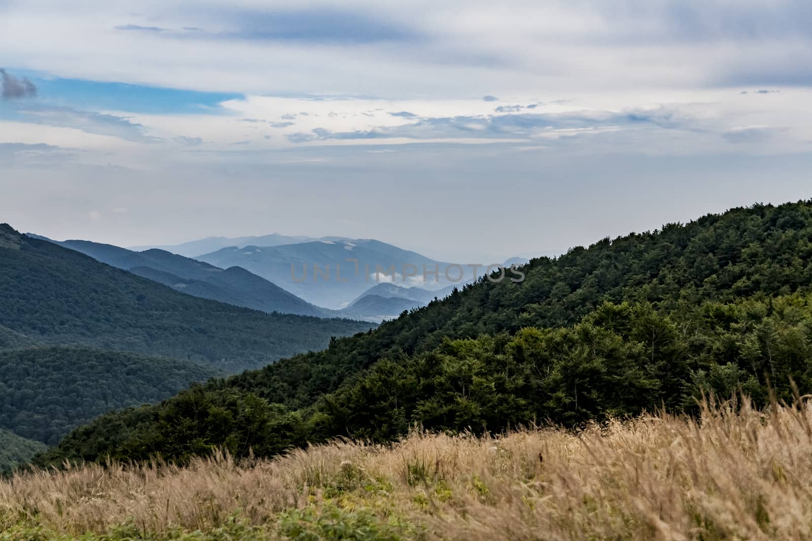 Road from Widelki to Tarnica through Bukowe Berdo in the Bieszczady Mountains in Poland by jacek65