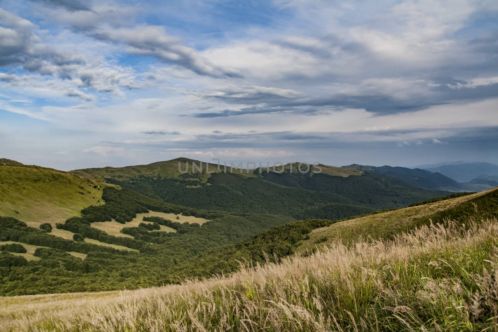 Road from Widelki to Tarnica through Bukowe Berdo in the Bieszczady Mountains in Poland by jacek65