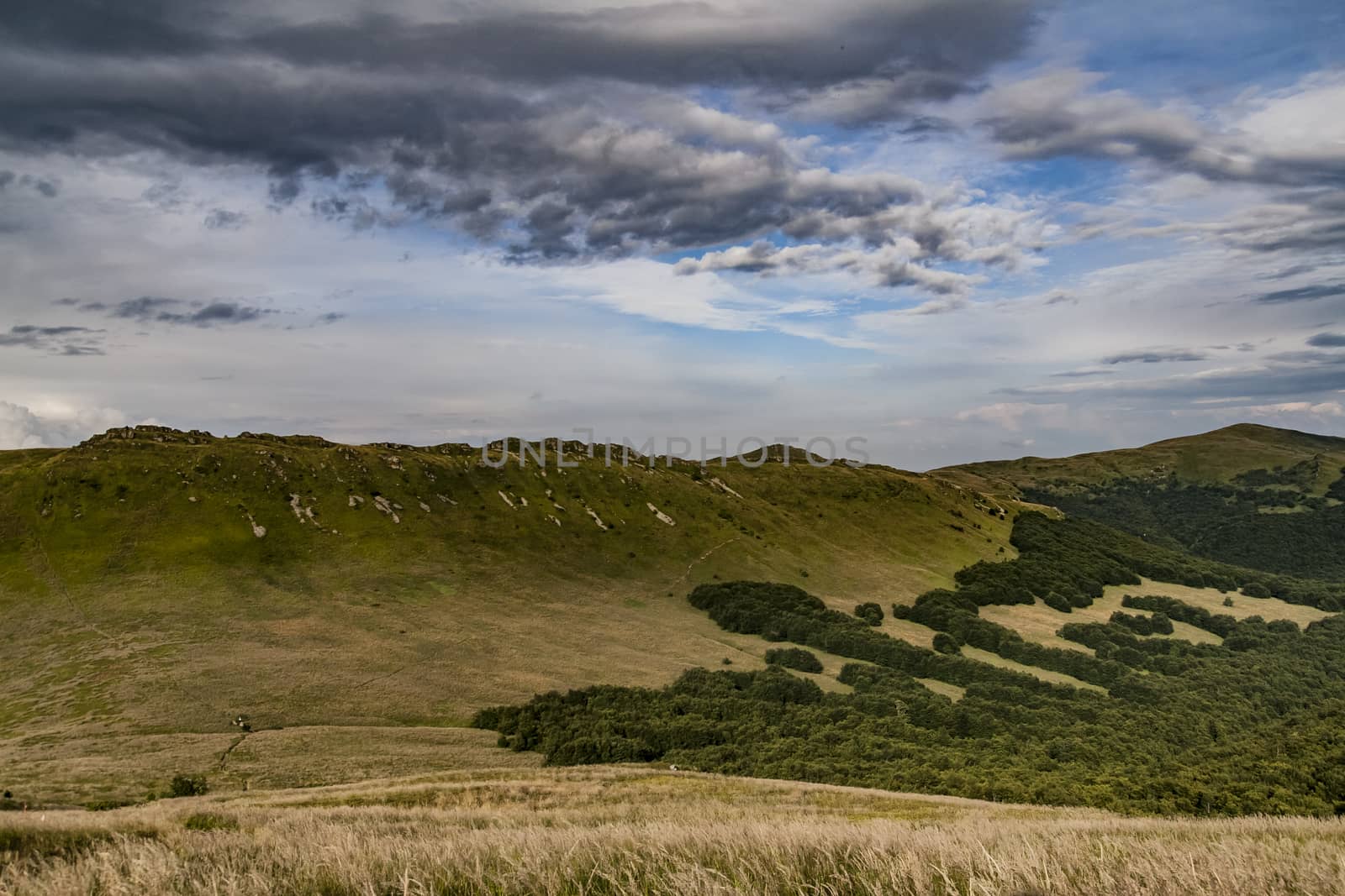 Road from Widelki to Tarnica through Bukowe Berdo in the Bieszczady Mountains in Poland by jacek65