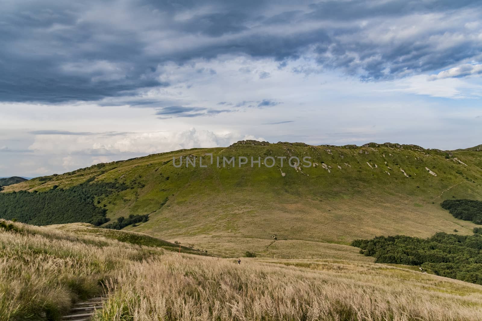 Road from Widelki to Tarnica through Bukowe Berdo in the Bieszczady Mountains in Poland by jacek65