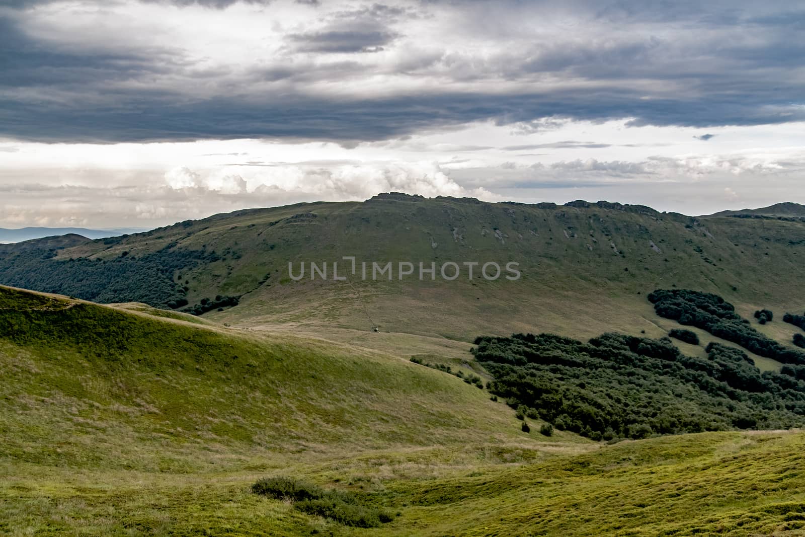 Road from Widelki to Tarnica through Bukowe Berdo in the Bieszczady Mountains in Poland by jacek65