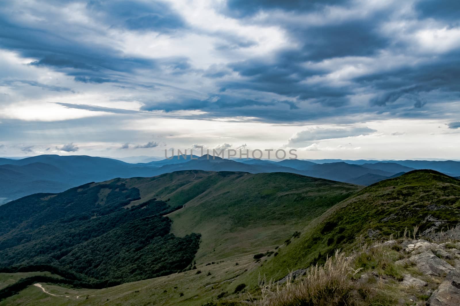 Road from Widelki to Tarnica through Bukowe Berdo in the Bieszczady Mountains in Poland by jacek65