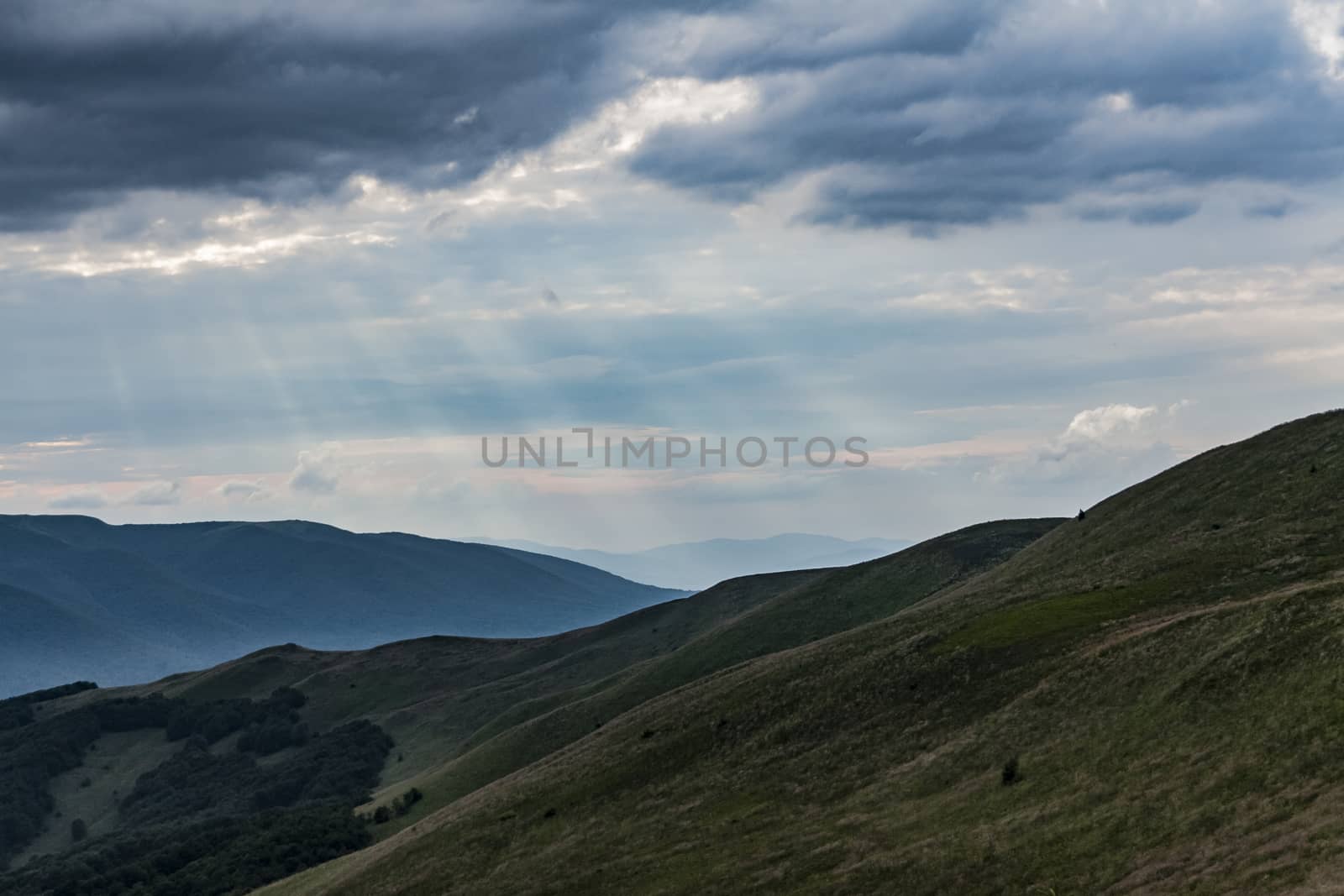 Road from Widelki to Tarnica through Bukowe Berdo in the Bieszczady Mountains in Poland