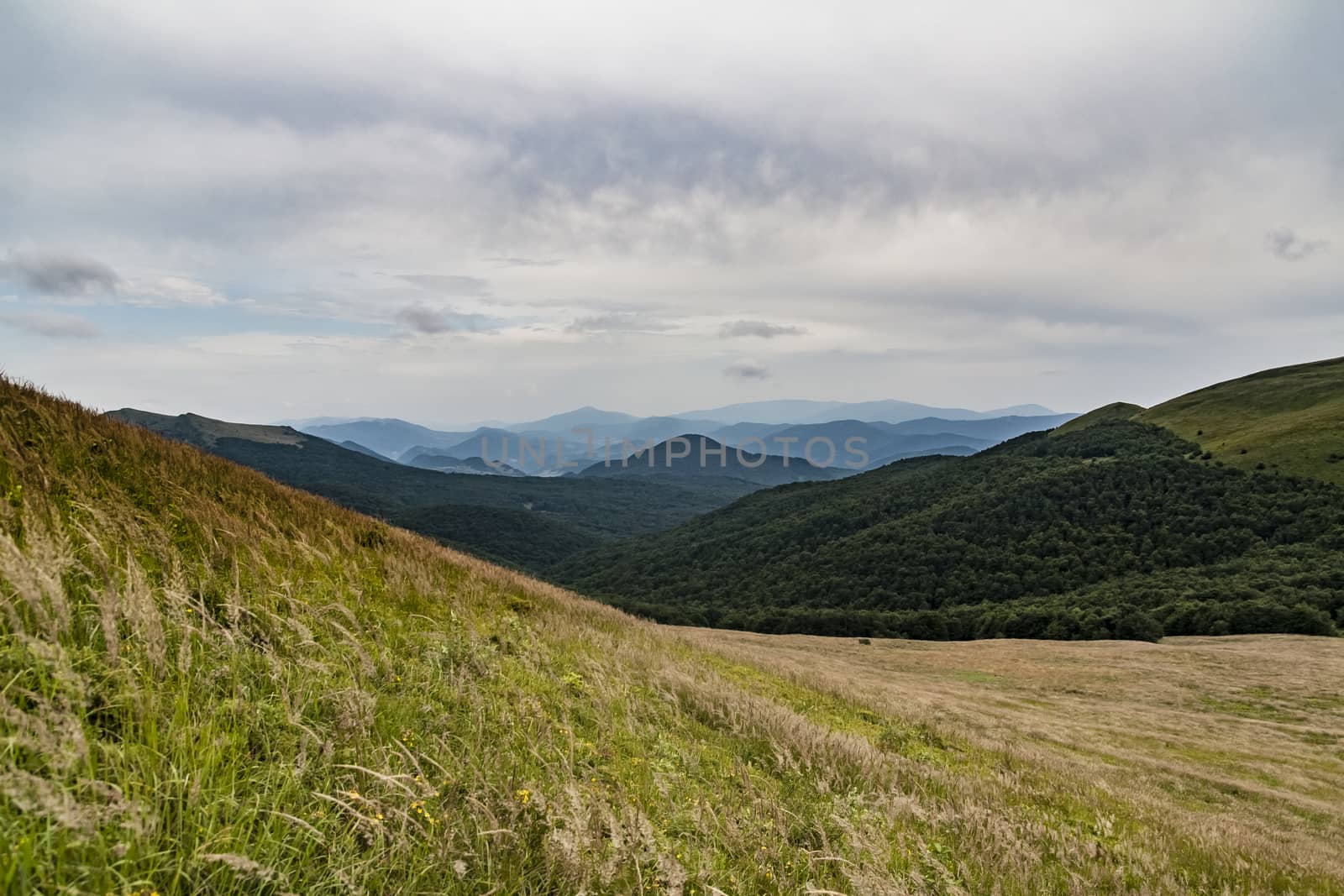 Road from Widelki to Tarnica through Bukowe Berdo in the Bieszczady Mountains in Poland by jacek65