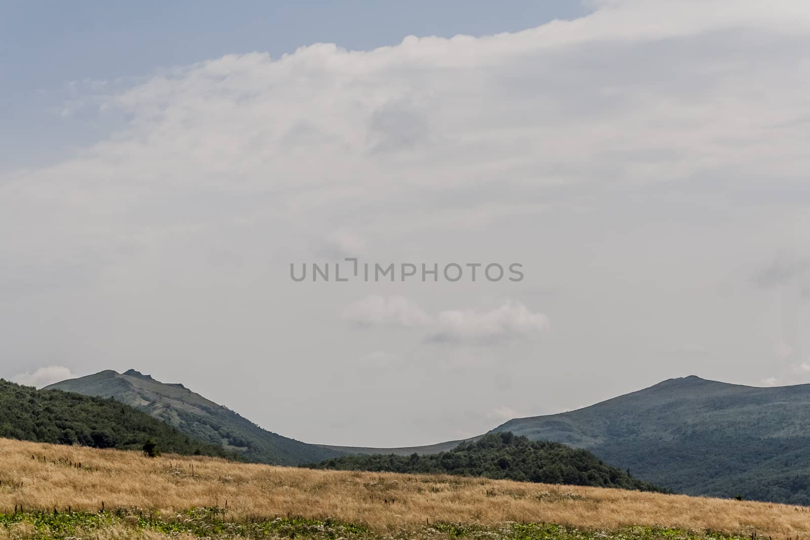 Road from Widelki to Tarnica through Bukowe Berdo in the Bieszczady Mountains in Poland