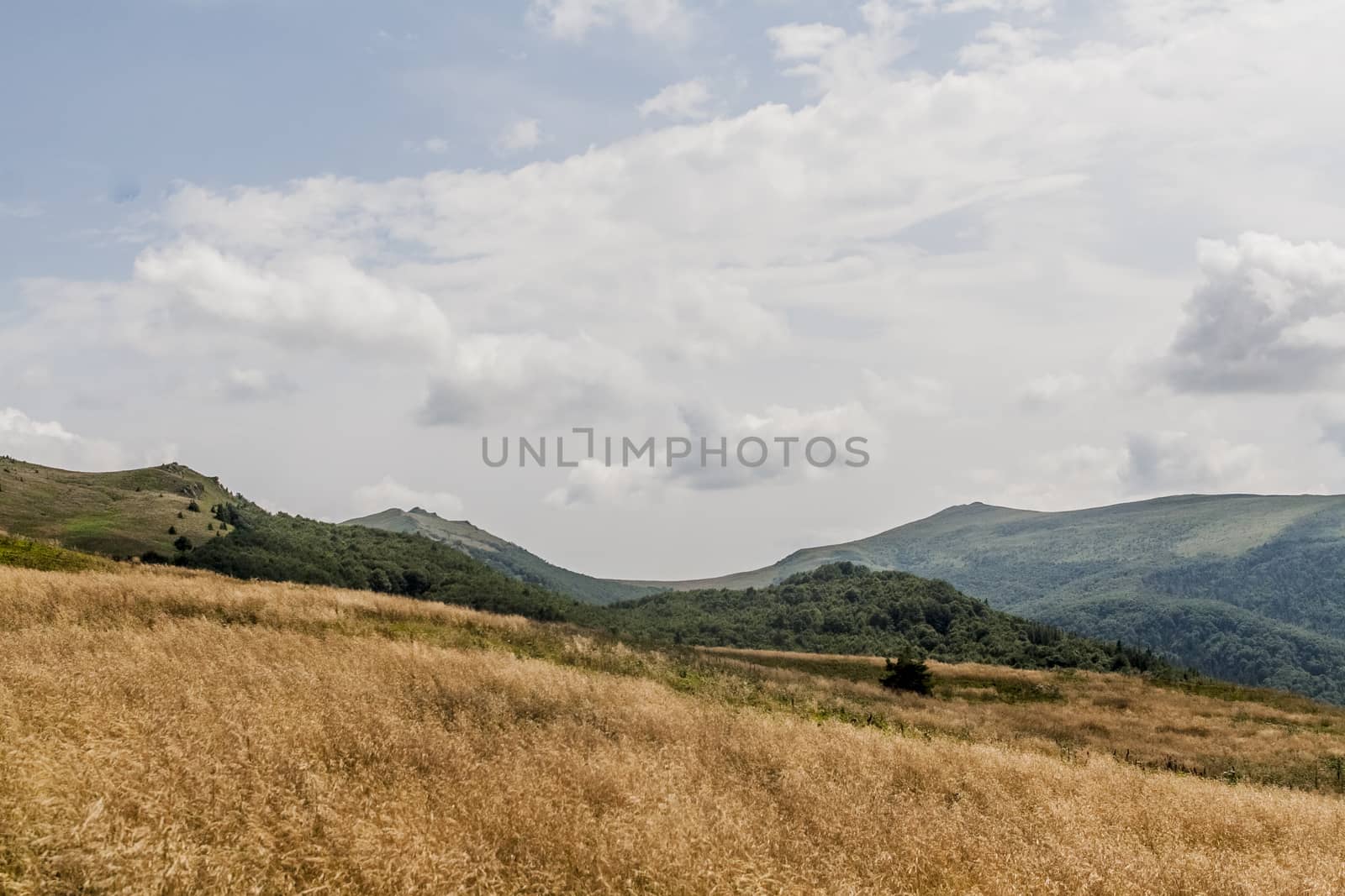 Road from Widelki to Tarnica through Bukowe Berdo in the Bieszczady Mountains in Poland by jacek65