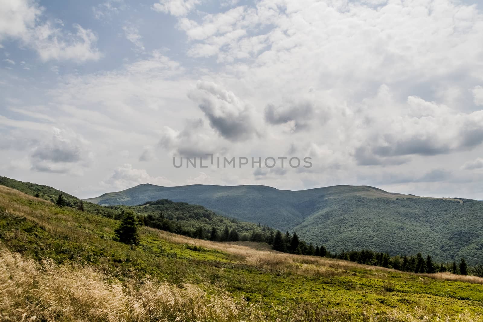 Road from Widelki to Tarnica through Bukowe Berdo in the Bieszczady Mountains in Poland by jacek65