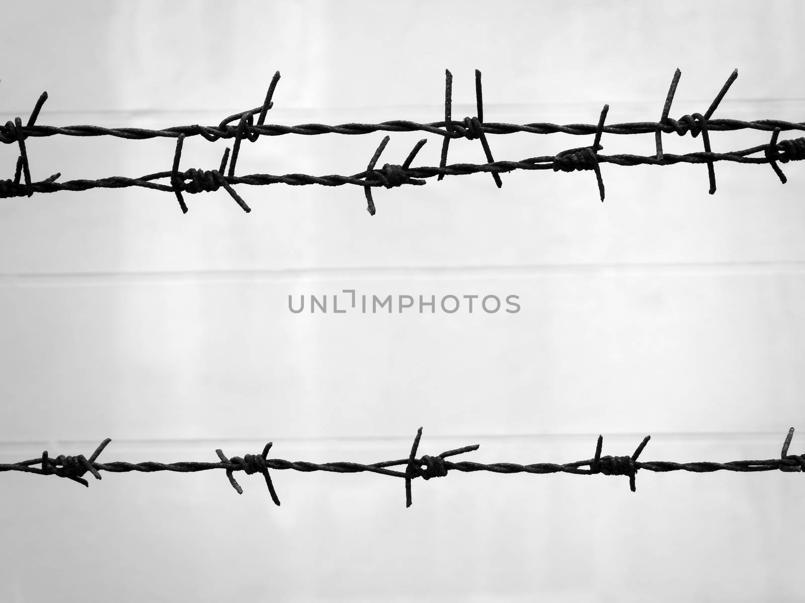 Old and rusty barbed wire on the fence by Satakorn