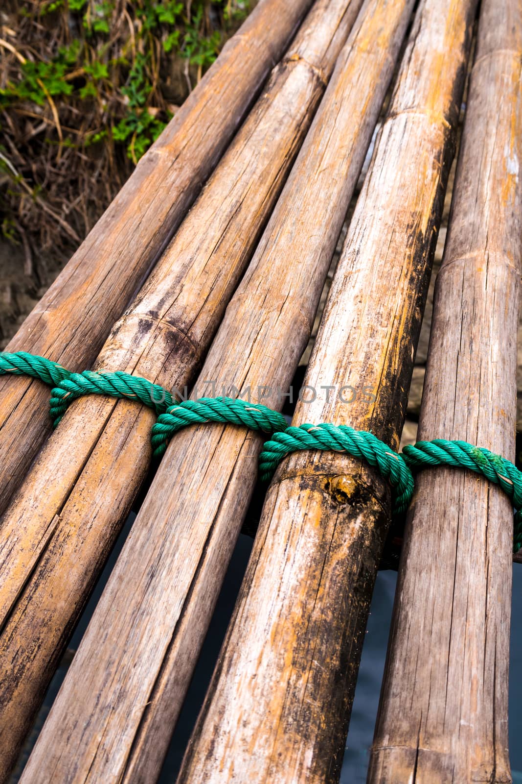 Dried bamboo tie with green nylon rope by Satakorn