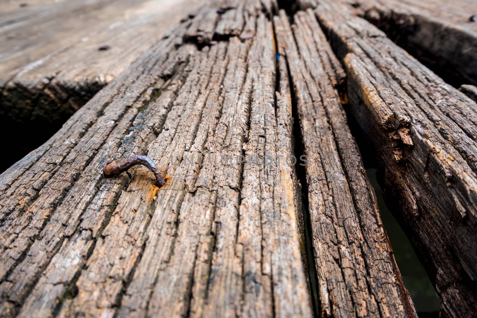 Abstract texture on surface of old wooden board by Satakorn