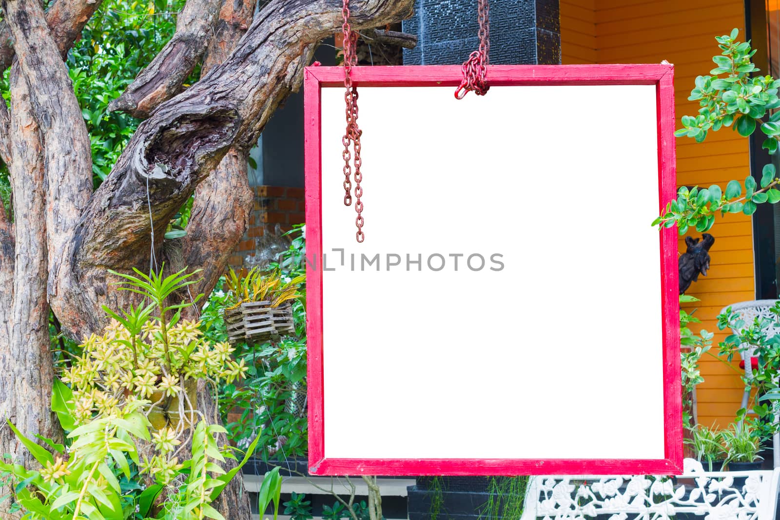 isolated red frame hung on tree in lush garden setting, clipping path