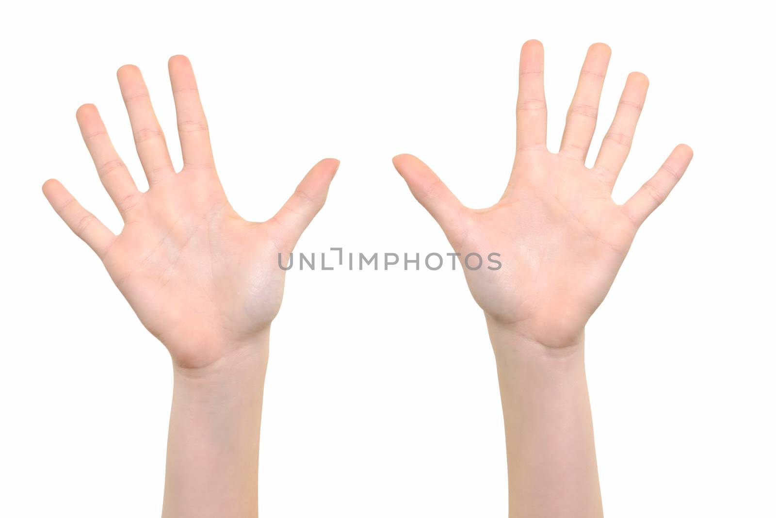 Caucasian white girl is showing her hands with open palms on a white background in close-up