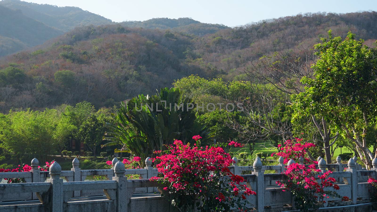 Viewing platform at mountaintop, in chongqing nanshan. Tropical garden in China