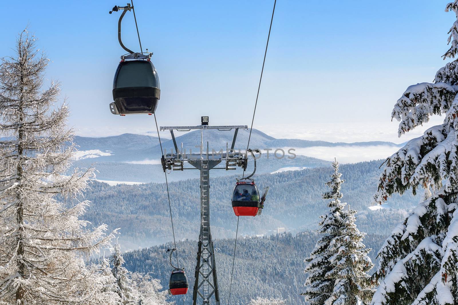 Gondola cabin lift in the ski resort over the forest on the background of snowy mountains in sunny day (high details)